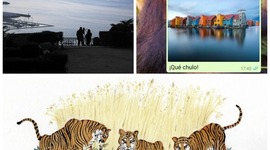 Timeline: Telecolaboración Universitat Barcelona y Groningen Rijksuniversiteit