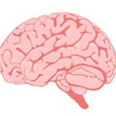 Timeline: The development of psychology