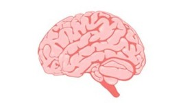 Timeline: The development of psychology