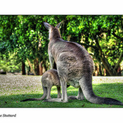 Timeline: History of Australia Timeline