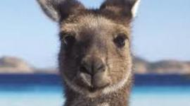 Timeline: Australia Timeline