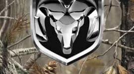 Timeline: Cody Hamann, the Dodge brothers