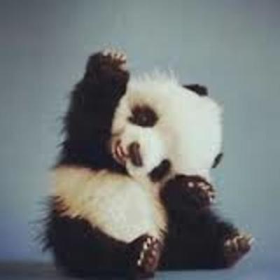 Timeline: World War 2