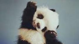 Timeline: World War 2