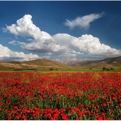 Timeline: Природа Азии