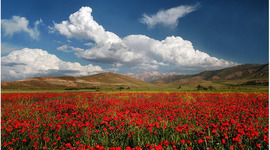 Timeline: Природа Азии