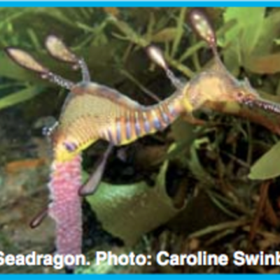 Timeline: Published work