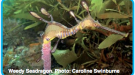 Timeline: Published work