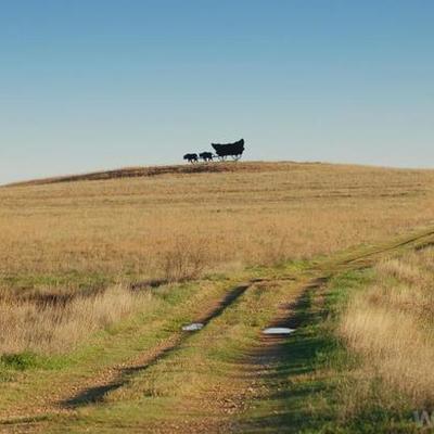 Timeline: Oregon Trail Timeline