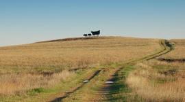 Timeline: Oregon Trail Timeline