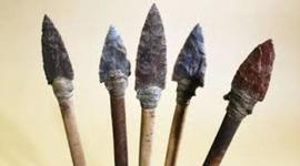 Timeline: Early People