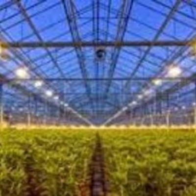 Timeline: EVOLUCION PARA LA SOLUCION DEL PROBLEMA DEL SECTOR AGROPECUARIO - JOSE BALLESTEROS