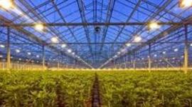 Timeline: EVOLUCION PARA LA SOLUCION DEL PROBLEMA DEL SECTOR AGROPECUARIO - JOSE BALLESTEROS