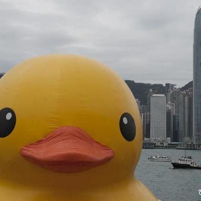 Timeline: Guerra Mundial Dos