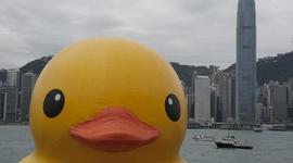 Timeline: Guerra Mundial Dos