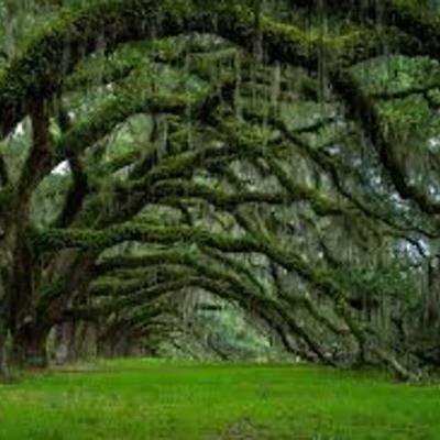 Timeline: History Timeline