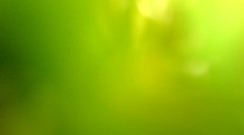 Timeline: Minu ajatelg