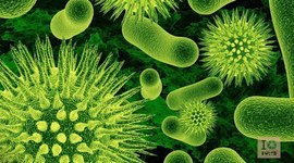 Timeline: Las hipótesis sobre el origen de la vida