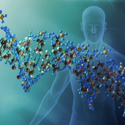 Timeline: EL DESCUBRIMIENTO DEL DNA