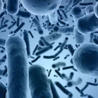 Timeline: The history of diseases By: Sophie Heeter