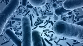 Timeline: The history of diseases By: Sophie Heeter