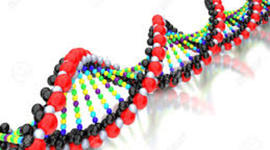 Timeline: Los principales acontecimientos del DNA