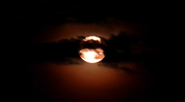 Timeline: Cold War Timeline Assignment