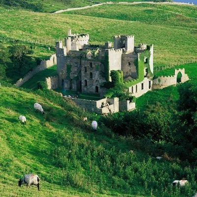 Timeline: History of Ireland