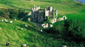 Timeline: History of Ireland