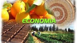 Timeline: Hechos Importantes Economia