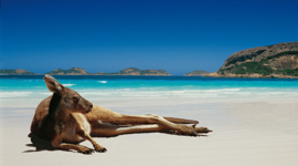 Timeline: History of Australia