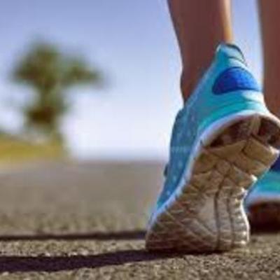 Timeline: The Running Dream by Wendelin Van Draanen