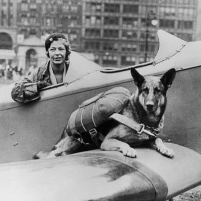 Timeline: World War II Timeline