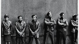 Timeline: Black Panthers