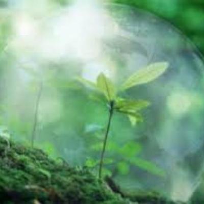 Timeline: "Зеленая химия"