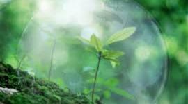 Timeline: "Зеленая химия"