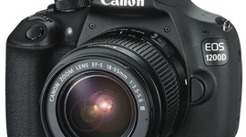 Timeline: La Fotografía