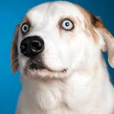 Timeline: 20 important events of ww1