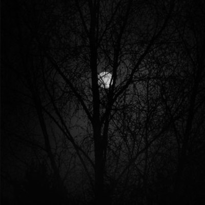 Timeline: Born at Midnight