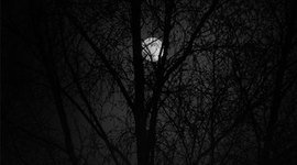 Timeline: Born at Midnight