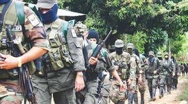 Timeline: CONFLICTO ARMADO EN COLOMBIA