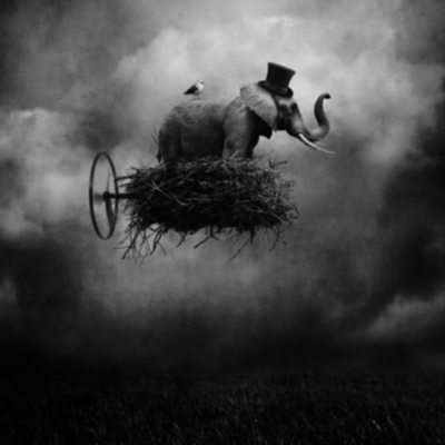 Timeline: Historia del sueño