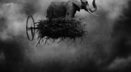 Timeline: Historia del sueño