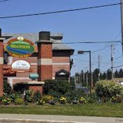 Timeline: Contamination aux TCE Shannon