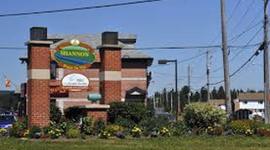 Timeline: Contamination aux TCE Shannon