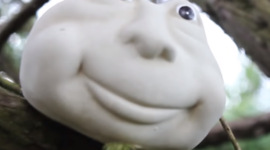 Timeline: reconstruction