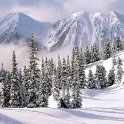 Timeline: Brian's Winter