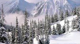 Timeline: Brian's Winter