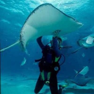 Timeline: History Of Scuba Diving