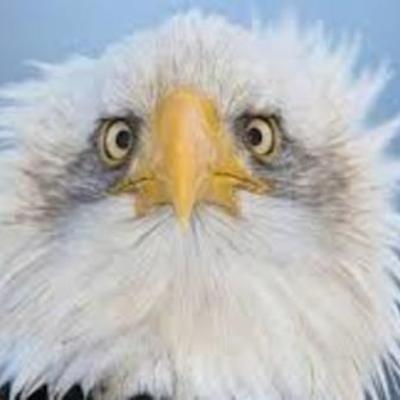 Timeline: Sonnets Throughout History